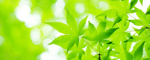 働き方改善研修~ストレス軽減と業務効率の向上編(1日間)