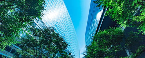 ワークライフバランス研修~個人レベルで変革できることを考える編(半日間)
