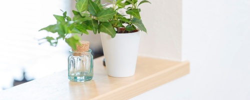 Improving and activating your workplace environment ~Applying The 5S Method (One day) 職場改善5S研修