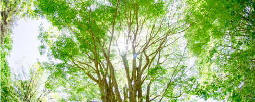 イマドキ世代の若手育成研修(1日間)