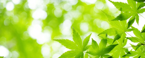 第二種衛生管理者講座