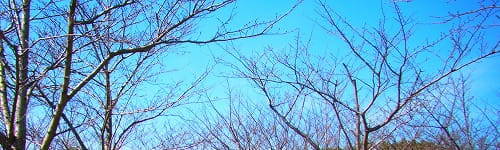 企画力研修 ~住民協働を成功させる編(1日間)