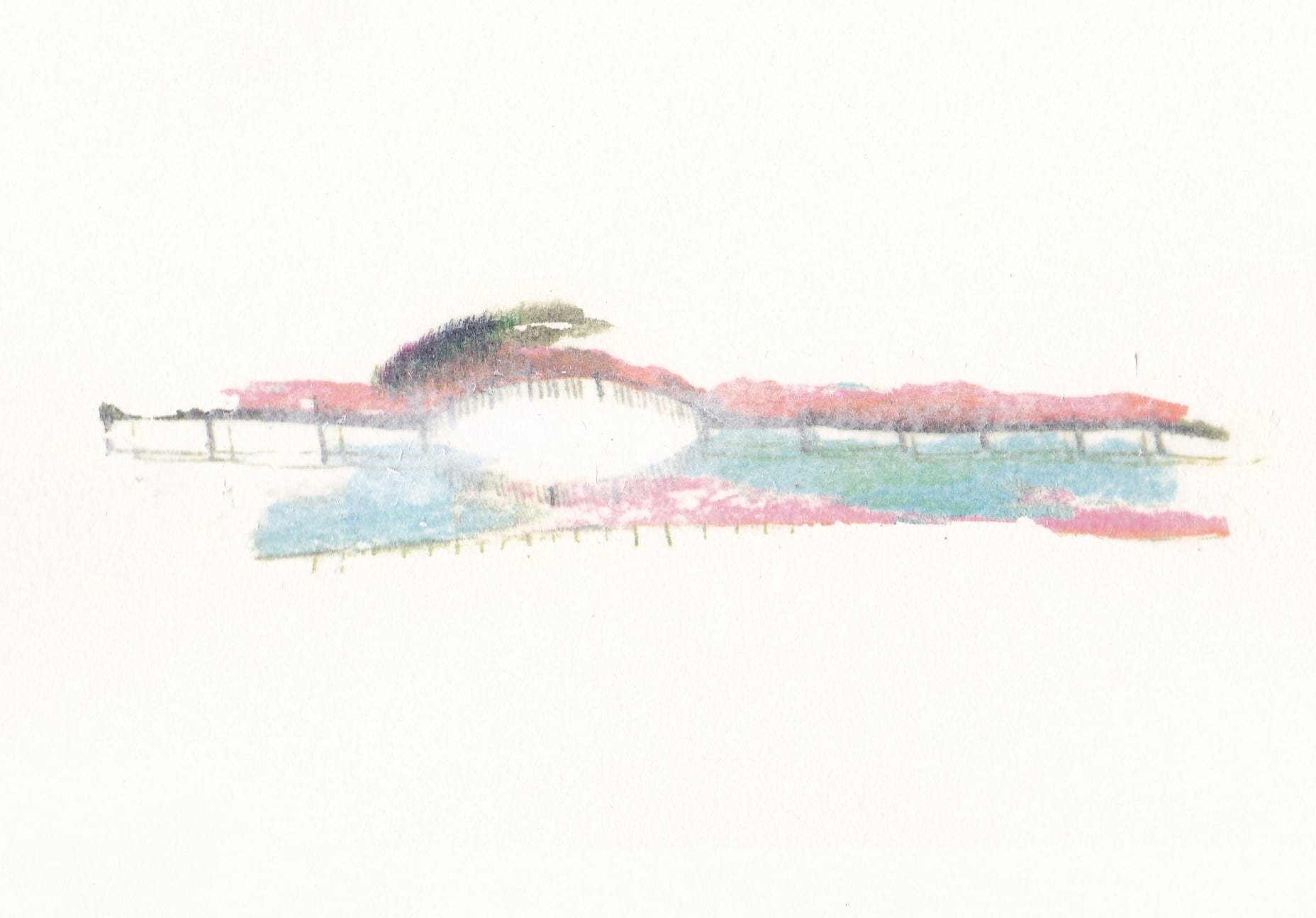 作品画像