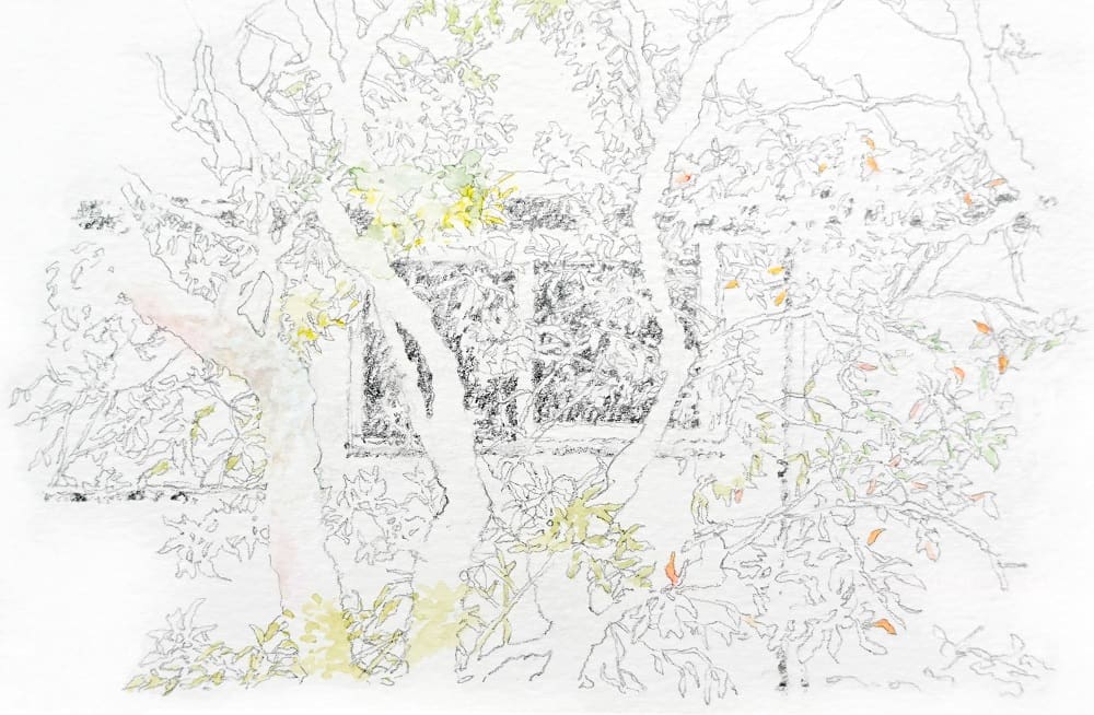 作品画像
